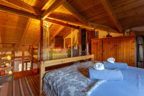 Beetle Villa retro country house